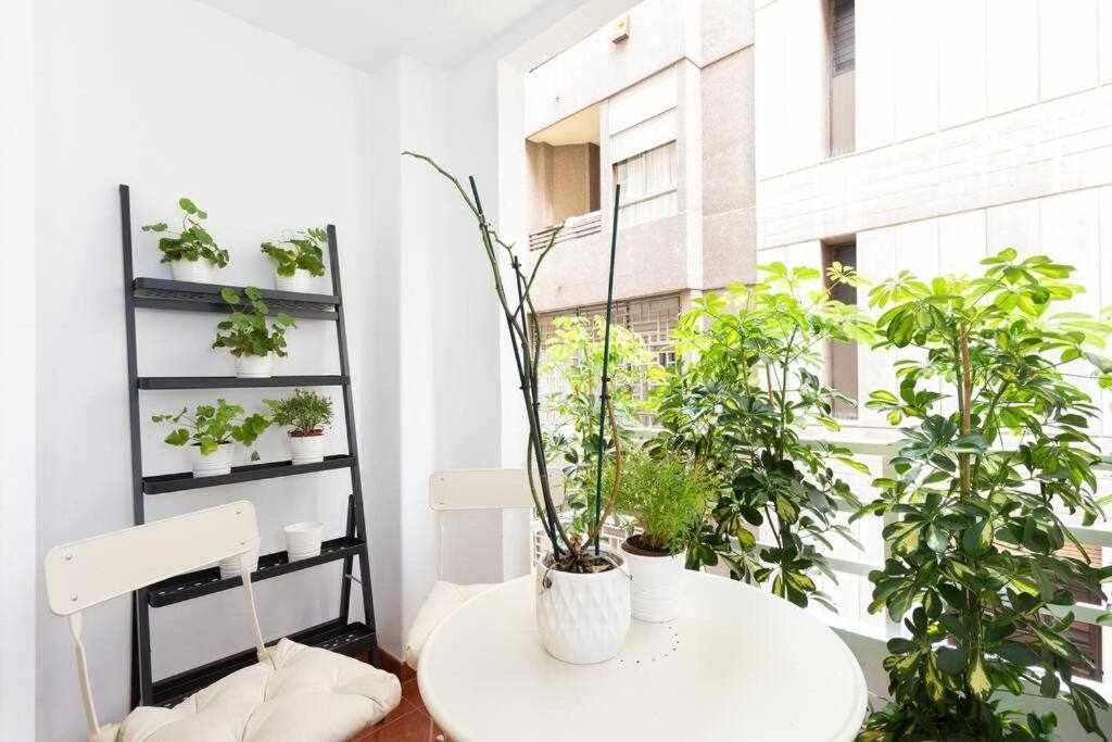 Sabino Dreams Santa Cruz Apartment Exterior foto